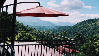 The Springfields Kandy Previously Madara Residence Kandy - Kandy - 8