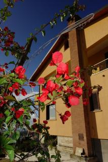 casa vacanze, via delle margherite 3 - Montecorvino Pugliano - 7