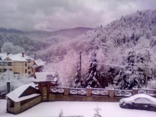 Shovkova Kositsya - 3