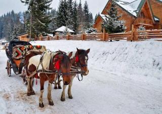 Shovkova Kositsya - 1