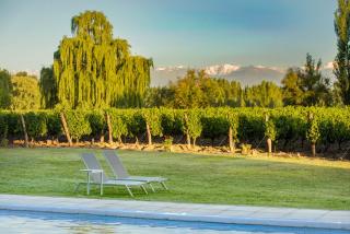 Postales Boutique Winery Hotel - Valle de Uco - Colonia Las Rosas - 7
