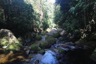 Sitio das bromelias Cachoeira do Tombador - Ubatuba - 2