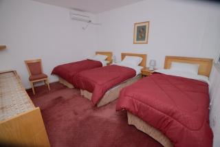 Petra Lion Hotel - 8