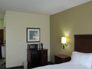 Holiday Inn Express Hotel & Suites Pampa by IHG - Pampa - 2
