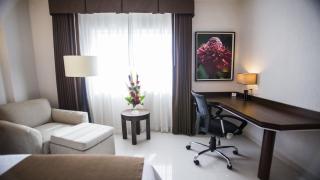 Holiday Inn Express Tuxtla Gutierrez La Marimba by IHG - Tuxtla Gutiérrez - 2