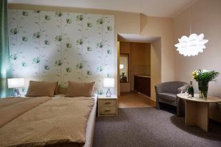 Hotel Slunce - Rýmařov - 1