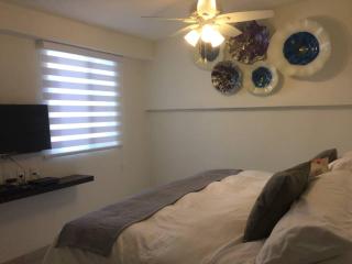 Suite Única privada Loft céntrico Zaragoza y Tecnológico 178B - Casa Blanca La Corregidora - 7
