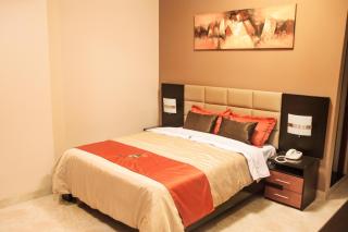 Gran Hotel Ica - Ica - 5