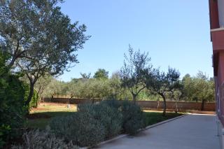 Apartments Roža - 4