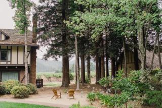 Harvest Inn - St. Helena - 3
