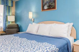 Days Inn by Wyndham Bradenton I-75 - Bradenton - 8