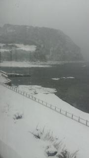 Nice View Guesthouse - Seogwipo - 5