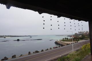 Africa Guesthouse - Jeju - 3