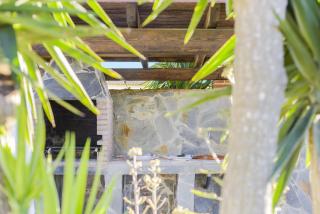 Casa Villanueva 1 -sólo Familias - Conil de la Frontera - 2