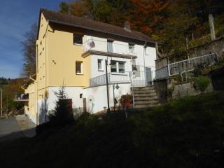 Ferienhaus Modautaler Sonnenhang - Hoxhohl - 9