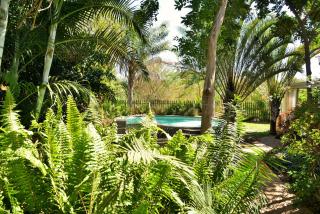 Chobe River Cottages - Kasane - 7