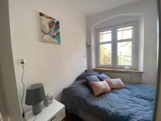 Apartament w Centrum Matejki 34/4 - Zielona Góra - 5