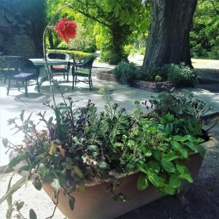 La Casona del Rio - Trelew - 4