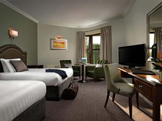 Oranmore Lodge Hotel Conference And Leisure Centre Galway - Oranmore - 6
