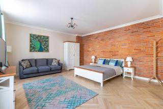 Ultracentral Oldtown Guesthouse - Cluj-Napoca - 9