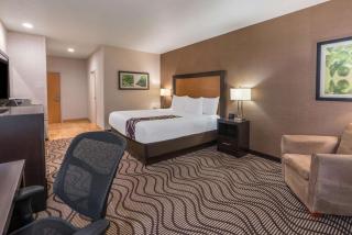 La Quinta by Wyndham Idaho Falls/Ammon - Idaho Falls - 7