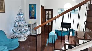 Casa da Avó Irene - Funchal - 3