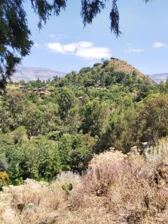 Private Guest House - 9