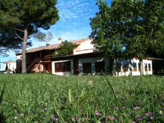 Agriturismo Casale il Gallo Bianco - Offagna - 2