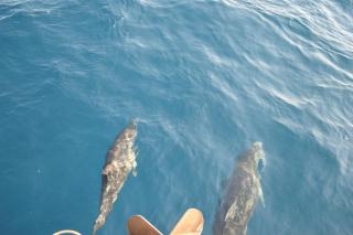 Catamarán y Velero I Centro de Ibiza - 9