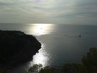 Catamarán y Velero I Centro de Ibiza - 8