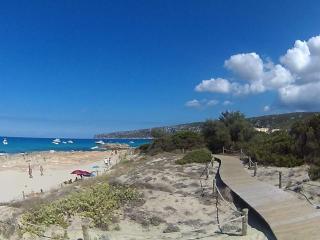 Catamarán y Velero I Centro de Ibiza - 4