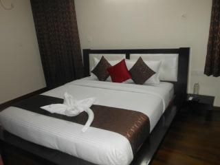 Deluxe AC Room in 3BHK Corporate service Aparment Manyata Tech Park - 8