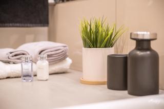 Downtown Apartment Rentals - 1