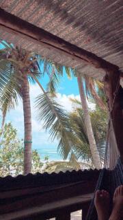 Surfhost - 4