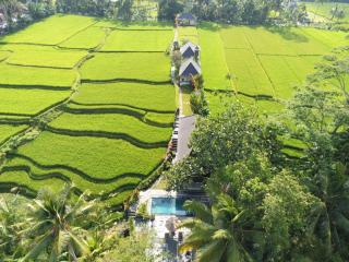 Puri Raya Villa - Ubud - 0