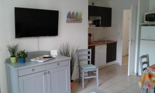 T3 Lagon Ondres plages avec piscine et tennis - 5
