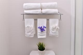 Holiday Inn Express & Suites San Diego - Mission Valley by IHG - San Diego - 7