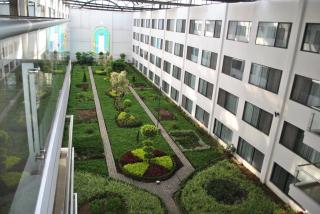 Holiday Inn Express Toluca by IHG - Toluca de Lerdo - 0