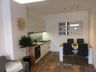 Apartmán Jestřáb Janské Lázně - Janske Lazne - 5