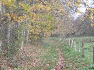 Le fief Beaurepaire 76280 - Beaurepaire - 1