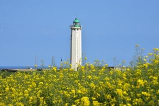 Le fief Beaurepaire 76280 - Beaurepaire - 4