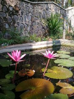 Hotel Paradiso, - Unawatuna - 0