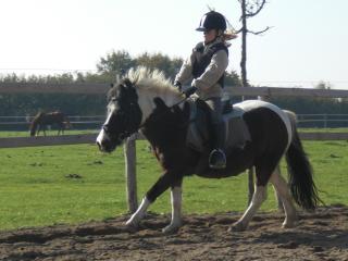 Reiterhof Lausen - 6