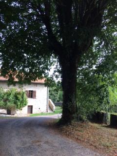 Maison à la ferme avec Pêche - Roumégoux - 9