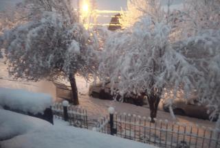 Universal Traveller's Hostel - 2