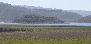 677 on Lake - Wilderness - 8