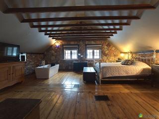 Maison du Mont-Mégantic spa à l'année - 1