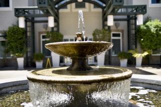 Holiday Inn Express Windsor Sonoma Wine Country by IHG - Windsor - 6