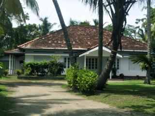 Sun and Surf Rest - Ahangama - 3