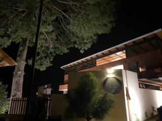 Cabaña Quinta Gaes Spa - 6